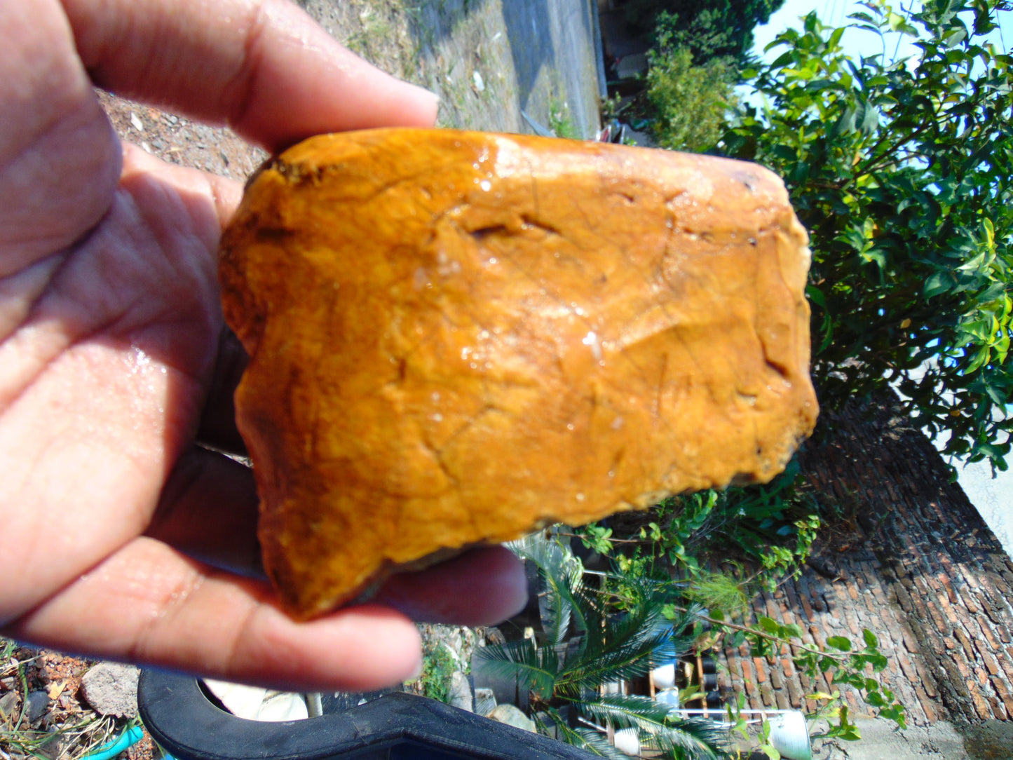 171 gram Polished Indonesia Yellow Aromatic Amber for Healing AY26M152