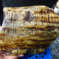 6015 gram Polished Indonesia Yellow Aromatic Amber for Healing AY26M177