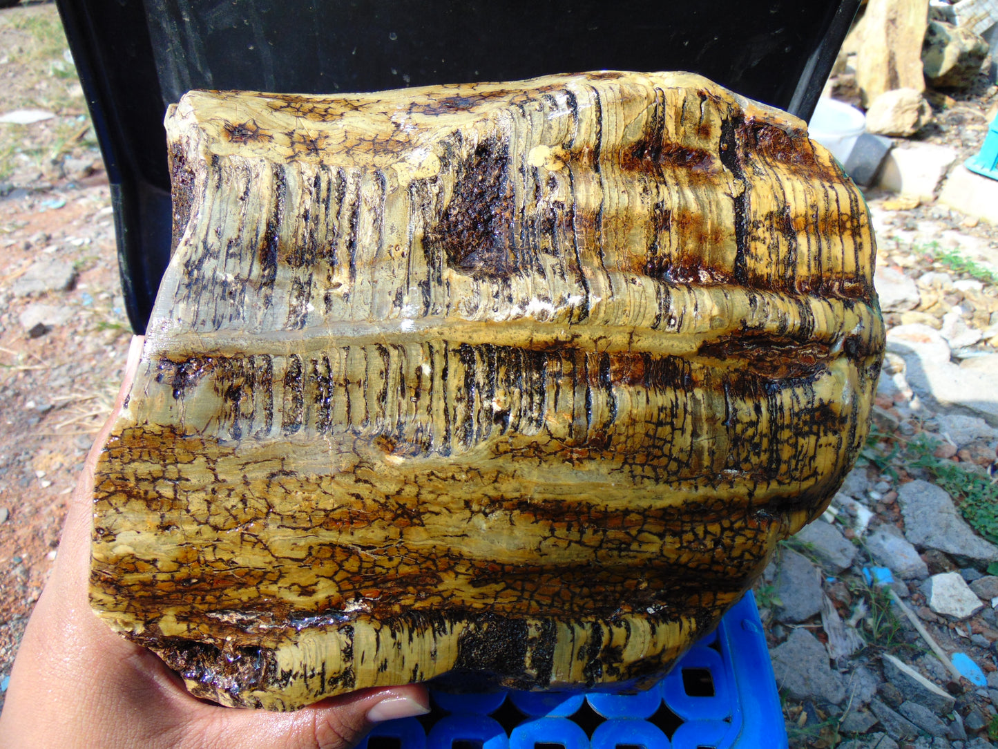 6015 gram Polished Indonesia Yellow Aromatic Amber for Healing AY26M177