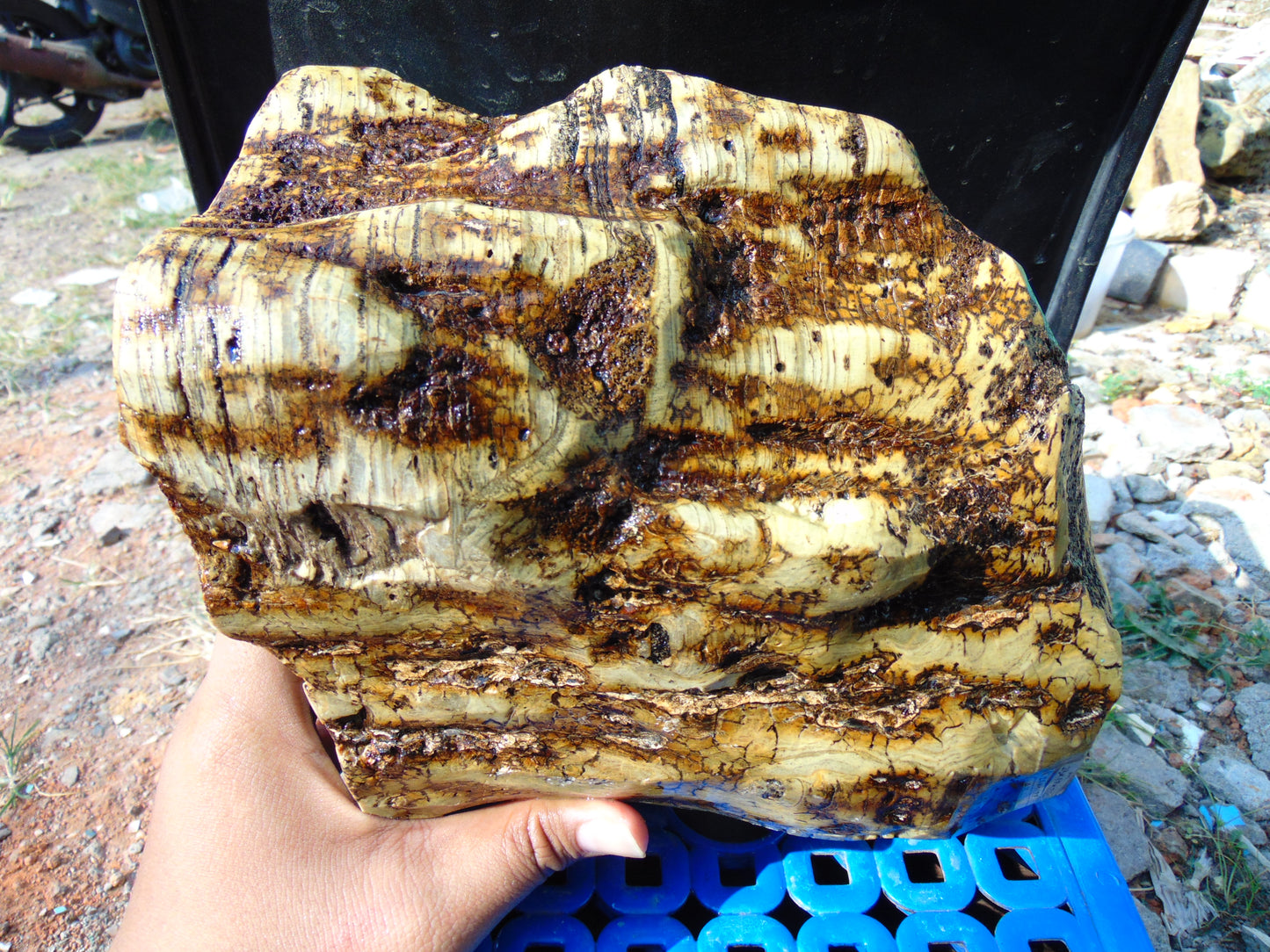 6015 gram Polished Indonesia Yellow Aromatic Amber for Healing AY26M177