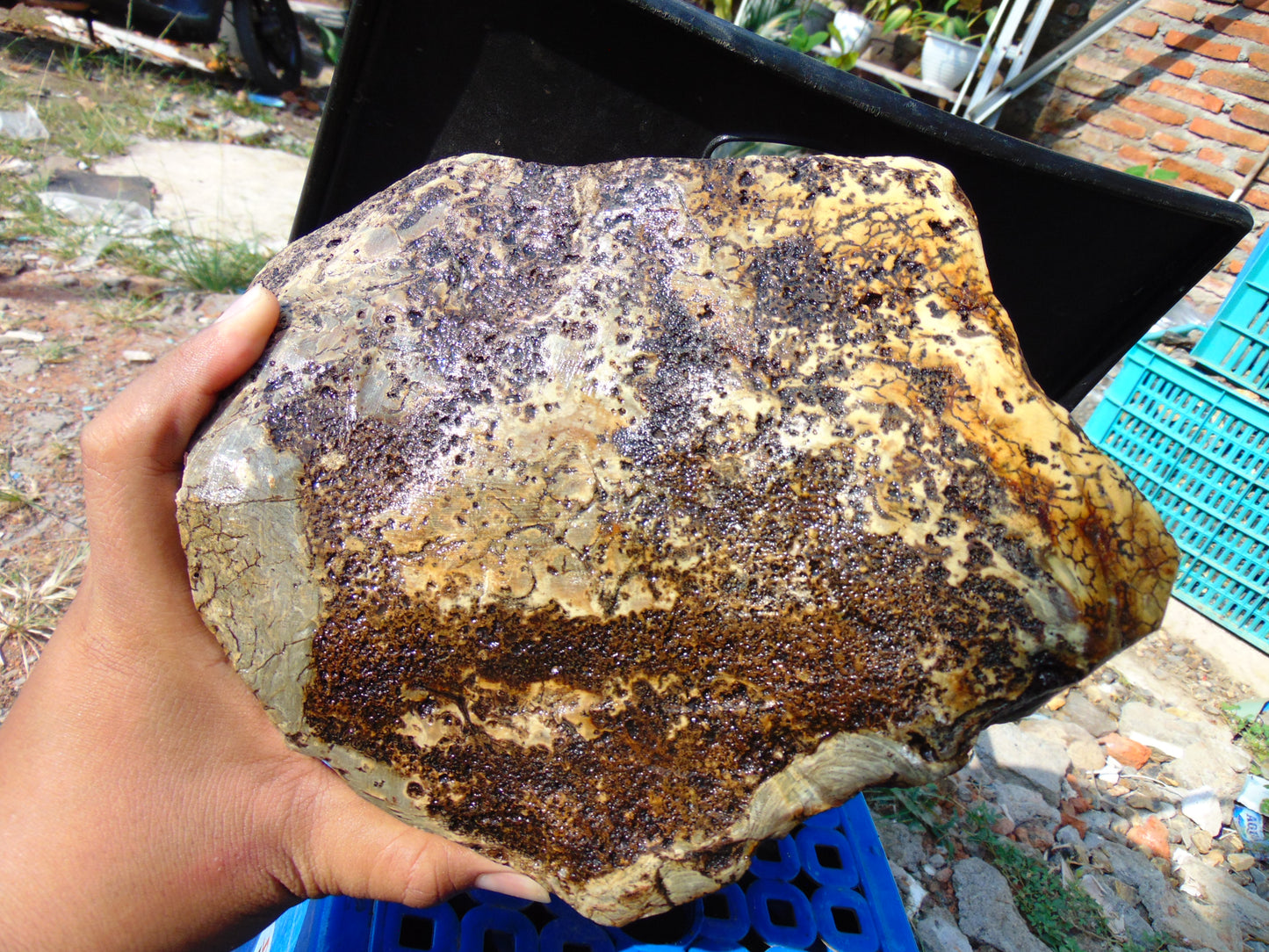 6015 gram Polished Indonesia Yellow Aromatic Amber for Healing AY26M177