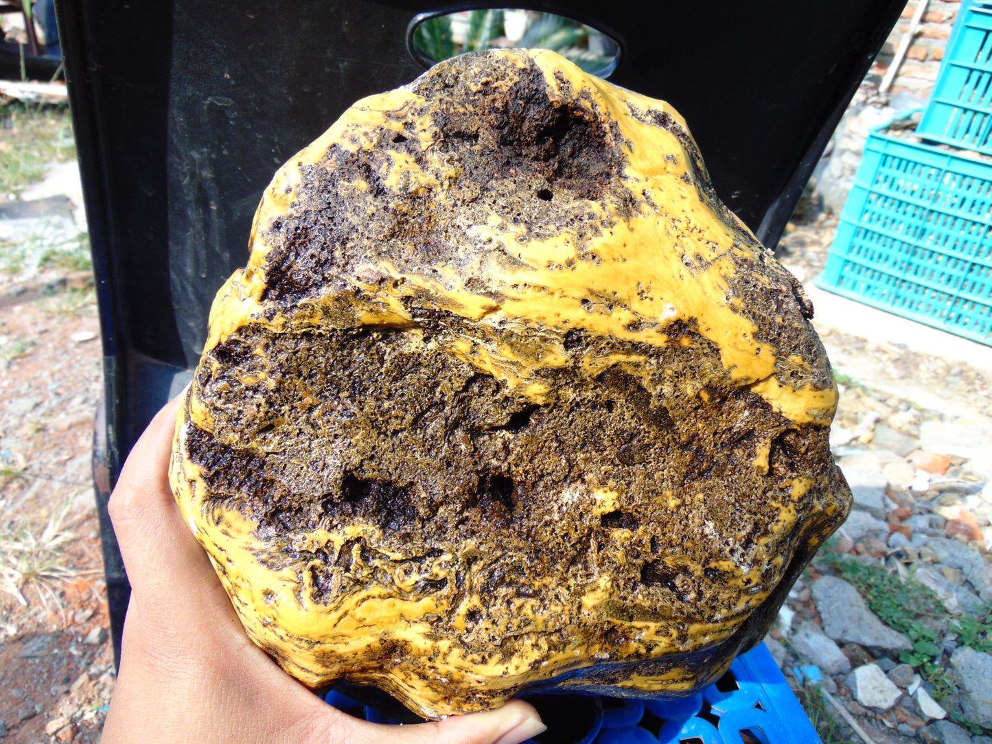 6015 gram Polished Indonesia Yellow Aromatic Amber for Healing AY26M177