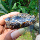 35 gram Rough Raw Indonesian Blue Amber for Healing AGRB138