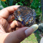 33 gram Rough Raw Indonesian Blue Amber for Healing AGRB156