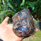 219 gram Rough Raw Indonesian Blue Amber for Healing RBAR56
