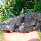 210 gram Rough Raw Indonesian Blue Amber for Healing RBAR98
