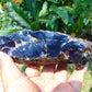 210 gram Rough Raw Indonesian Blue Amber for Healing RBAR98