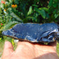 210 gram Rough Raw Indonesian Blue Amber for Healing RBAR98