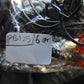 6 gram Pendant Indonesian Red Amber for Healing PB125