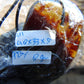 8 gram Pendant Indonesian Red Amber for Healing PBY211