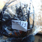 7 gram Pendant Indonesian Blue Red Amber for Healing pb247