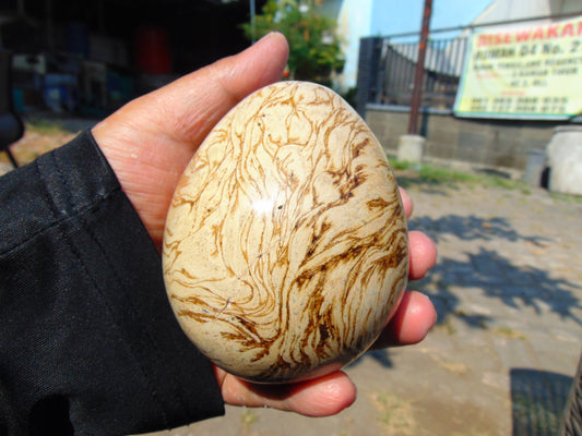 241 gr Shaped Egg - 87x71 mm Indonesia Aromatic Perfumed Yellow Cream Amber , Natural Stone Egg, Unique Home & Altar Decor 26CTL8