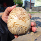 164 gr shaped  Egg - 75x60 mm Indonesia Aromatic Perfumed Yellow Cream Amber, Natural Stone Egg, Unique Home & Altar Decor 26CTL5
