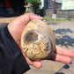 164 gr shaped  Egg - 75x60 mm Indonesia Aromatic Perfumed Yellow Cream Amber, Natural Stone Egg, Unique Home & Altar Decor 26CTL5