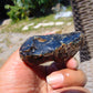 35 gram Rough Raw Indonesian Blue Amber for Healing RBAR78