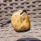 43 gr Genuine Natural Indonesian Aromatic Perfumed Yellow Amber Big Pendant 26CPX30