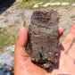 66 gram Rough Raw Indonesian Blue Amber for Healing RBAR81