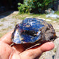 66 gram Rough Raw Indonesian Blue Amber for Healing RBAR81