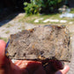83 gram Rough Raw Indonesian Blue Amber for Healing RBAR19