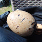 229 gr Shaped Egg 87x68 mm Indonesian White Amber for Healing AJ1062