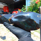 865 gr Full Polished Indonesian Green Amber for Healing 26ML142