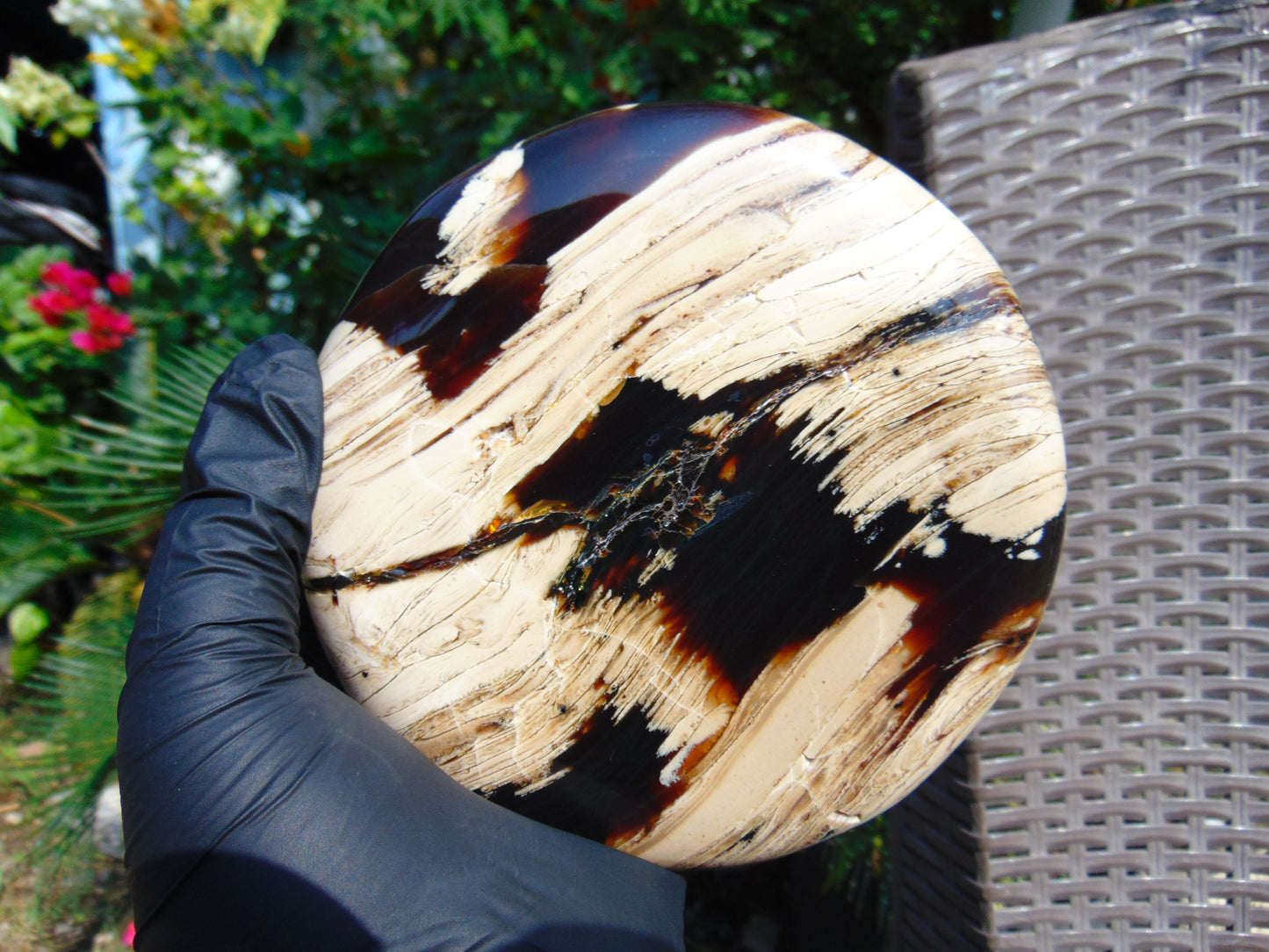 310 gram Round Flat 130x20 mm Indonesia white  Amber for Healing AR105