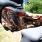 540 gram Full polished Indonesian Amber for Healing 25AR1