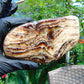118 gram Slab polished Indonesian Sumatra Zebra Amber for Healing