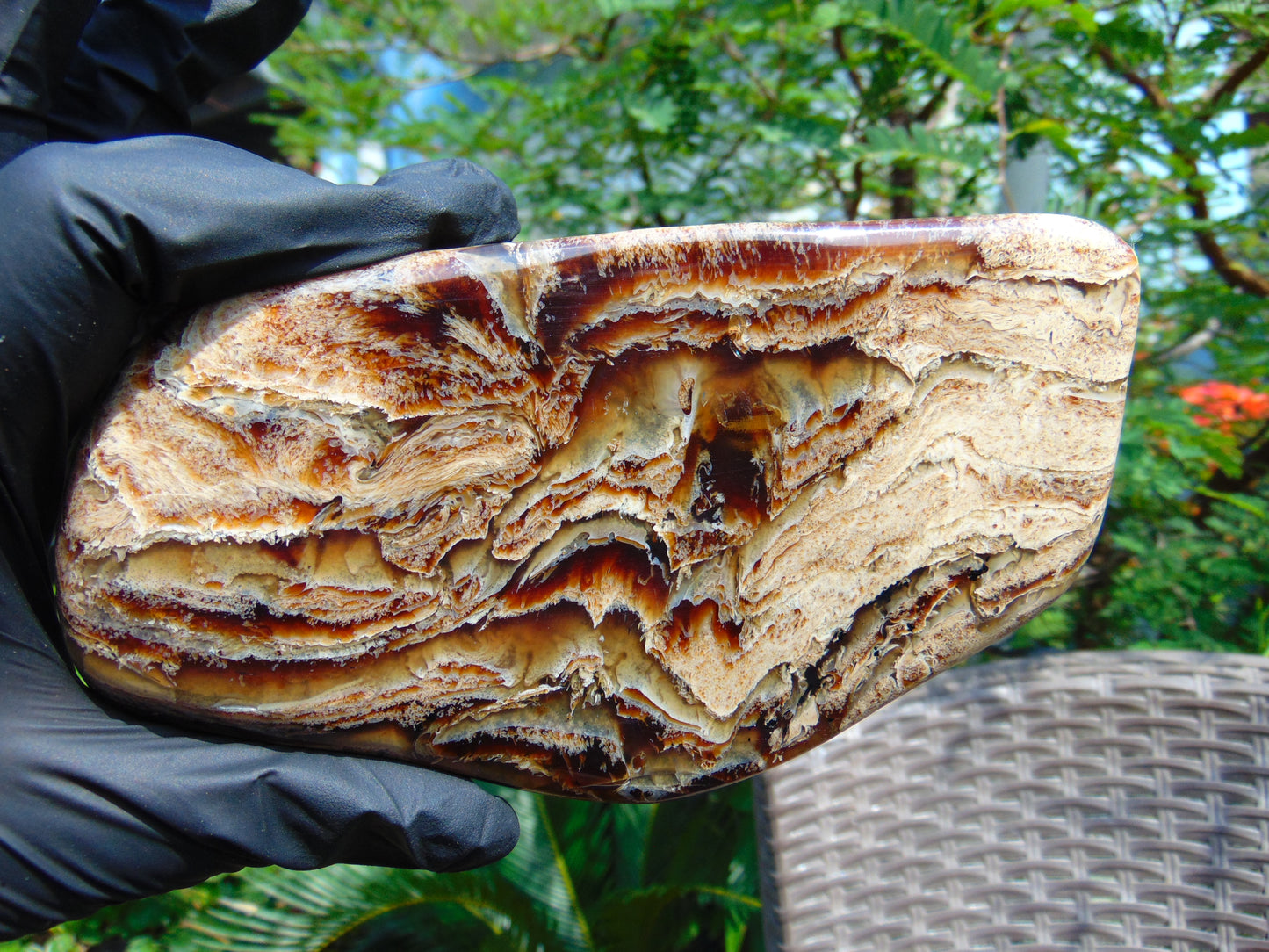 118 gram Slab polished Indonesian Sumatra Zebra Amber for Healing