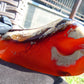 121 gram Slab polished Indonesian Sumatra Blue Amber for Healing 25Y24