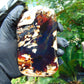 156 gram Slab polish Indonesian Sumatra White Blue Amber for Healing 25Y123