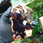 156 gram Slab polish Indonesian Sumatra White Blue Amber for Healing 25Y123