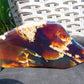 110 gram Slab Indonesian Sumatra White Honey Yellow Amber for Healing 25Y130
