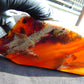 110 gram Slab Indonesian Sumatra White Honey Yellow Amber for Healing 25Y130
