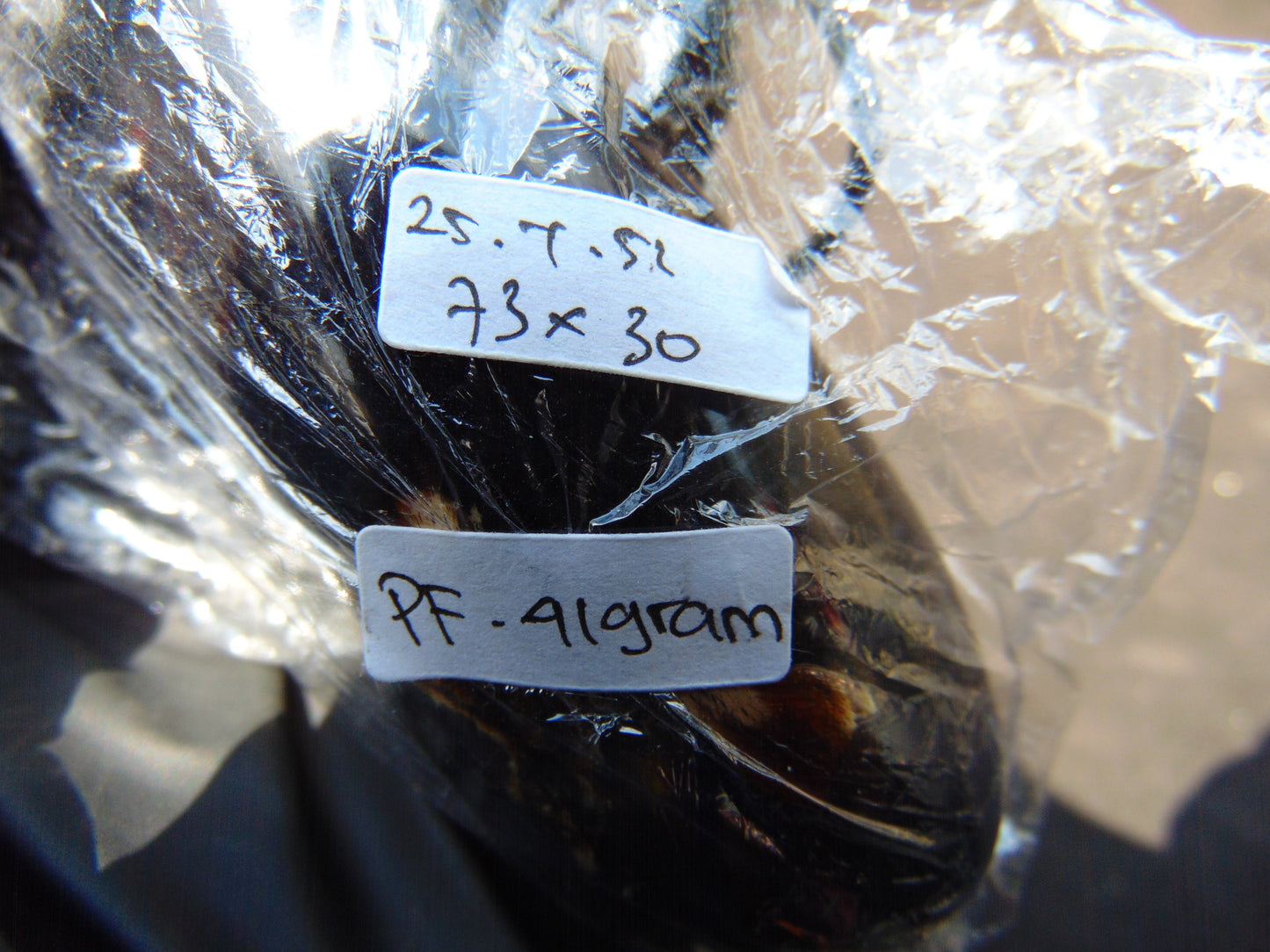 41 gr Teardrop Pendant Indonesian Black Blue Amber for Healing 25Y52