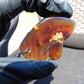 12 gr Pendant Indonesian Purple Blue Amber for Healing A149