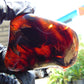 90 gram Slab polished Indonesian Sumatra Dark Blue Amber for Healing 25A190