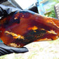 93 gram Slab polished Indonesian Sumatra Yellow Purple Blue Red Amber for Healing 25A207