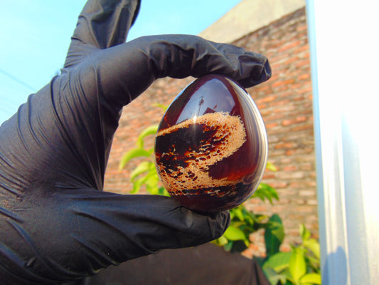 76 gr Shaped Egg 59x50 mm Indonesian Amber for Healing AJ770