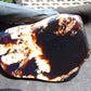103 gram Slab polished Indonesian Sumatra White Dark Red Amber for Healing 25A210