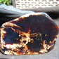 103 gram Slab polished Indonesian Sumatra White Dark Red Amber for Healing 25A210