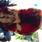 103 gram Slab polished Indonesian Sumatra White Dark Red Amber for Healing 25A210