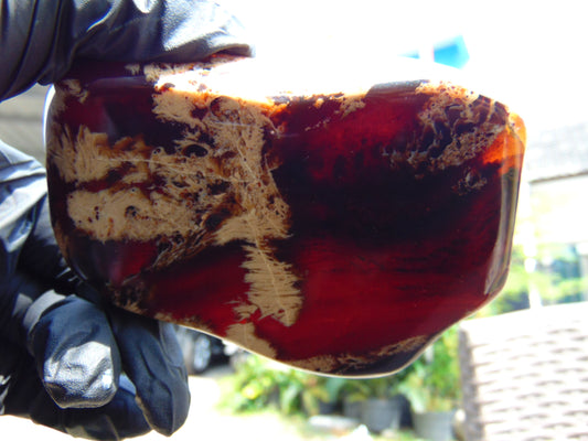 103 gram Slab polished Indonesian Sumatra White Dark Red Amber for Healing 25A210