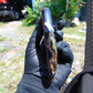 119 gram Slab polished Indonesian Sumatra Yellow Blue Amber for Healing 25N156
