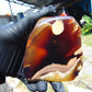 136 gram Slab polished Indonesian Sumatra Yellow Red Amber for Healing 25A203