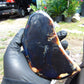 150 gram Slab polished Indonesian Sumatra Dark Blue Amber for Healing 25A211