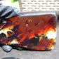 110 gram Slab polished Indonesian Sumatra Zebra Amber for Healing 25N149