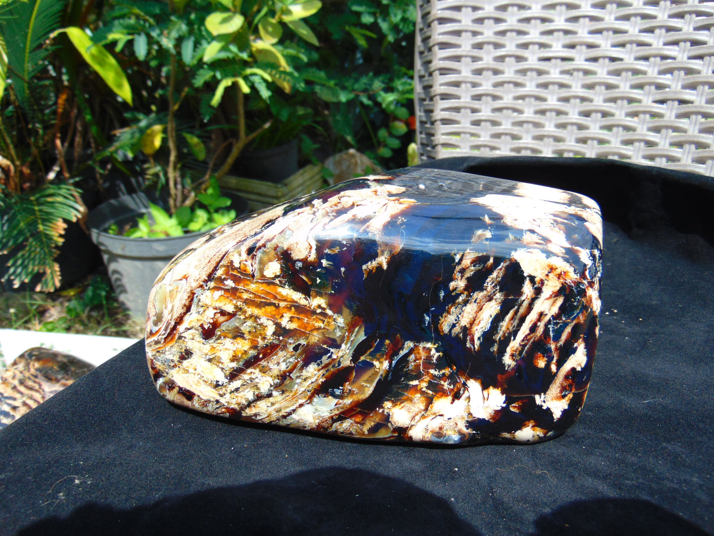 1260 gr Full Polished 18x10x9 mm Block Indonesia Zebra Amber for Healing AR225