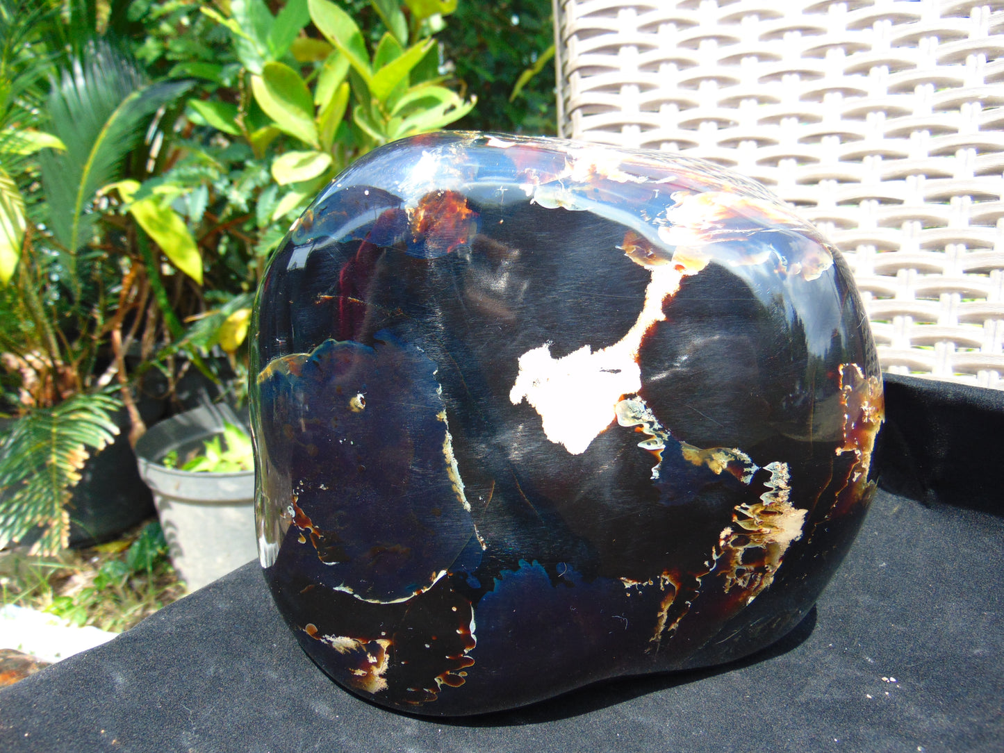 1560 gr Blue Polished 18x15x6 mm Indonesia Black Blue Amber for Healing 26ML176