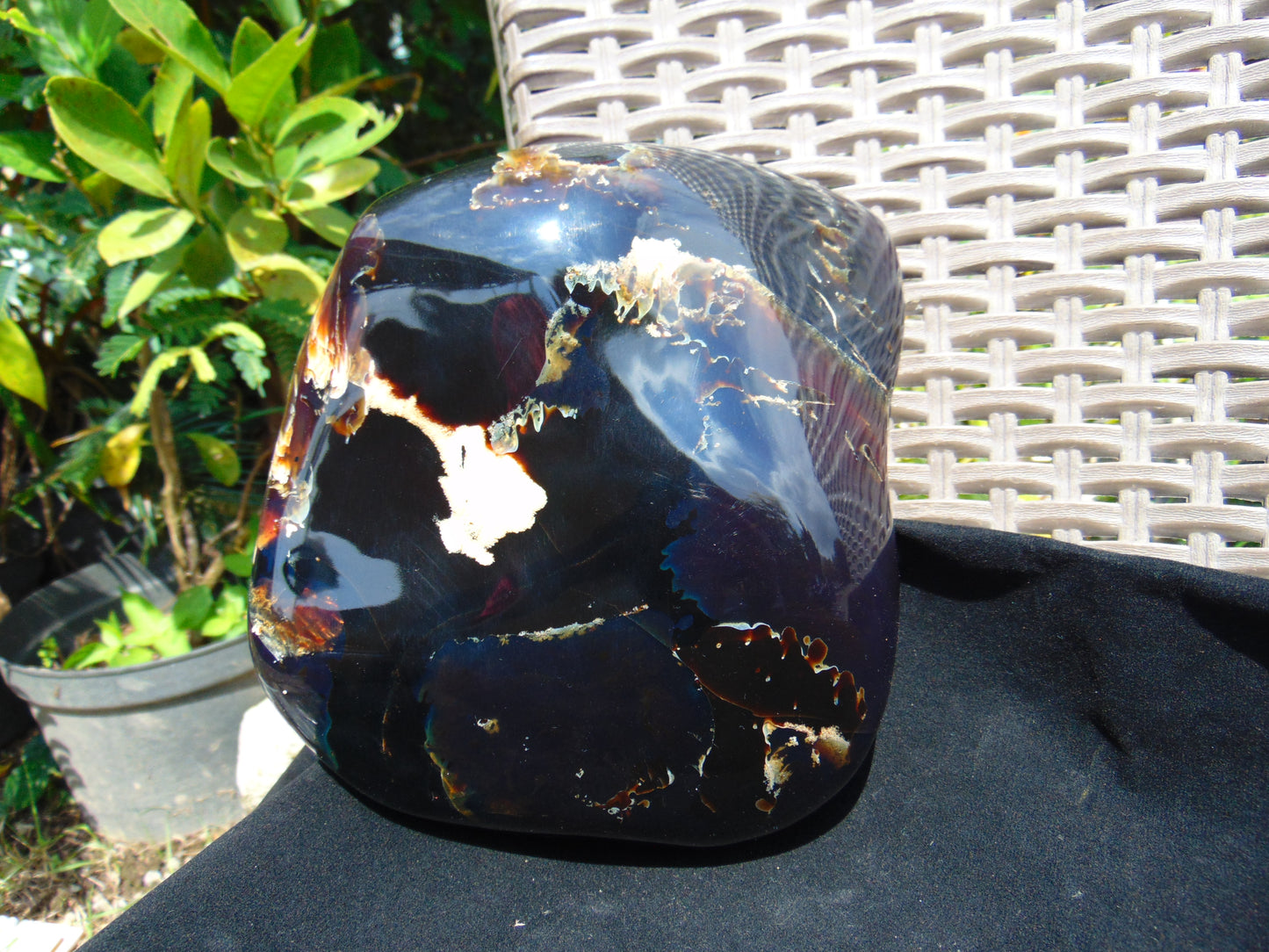 1560 gr Blue Polished 18x15x6 mm Indonesia Black Blue Amber for Healing 26ML176